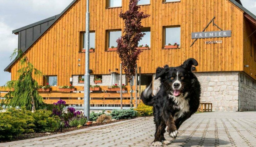 Hotel Premier Janov nad Nisou